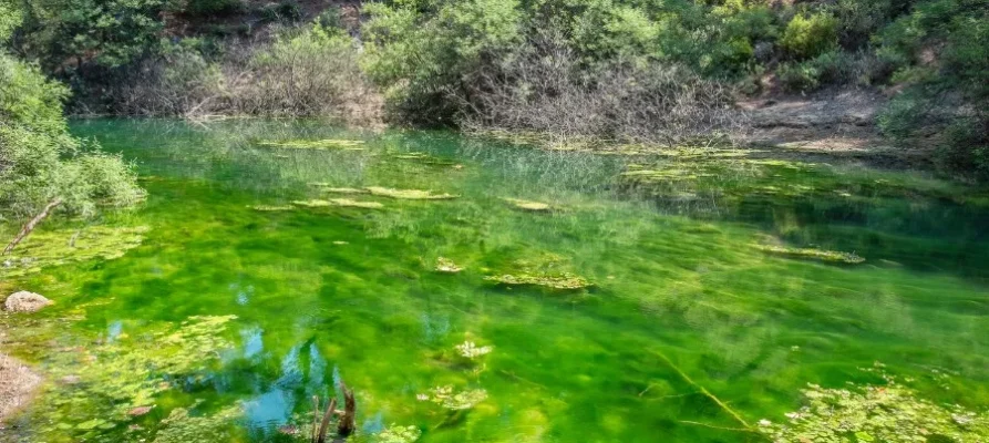 Green still water at the Seven Springs, Rhodes, Greece