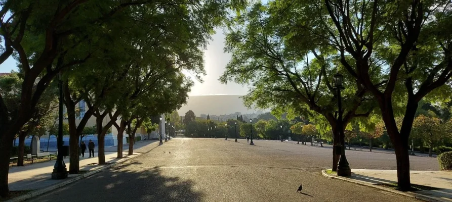 The National Garden Athens looking towards the Zappeion in the background on the far left