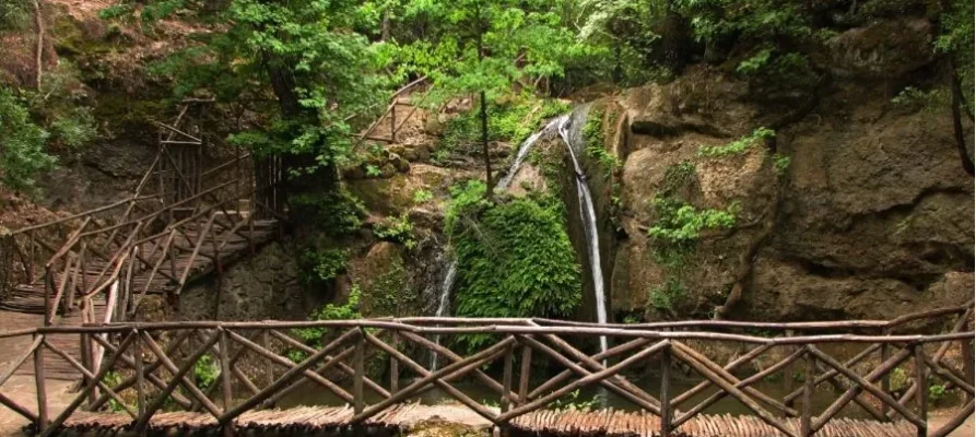 One of the wooden bridges at the Butterflies Valley Rhodes, Greece